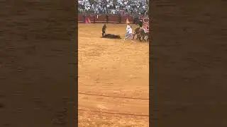 Check out this  Bull fighting tradition in Spain !