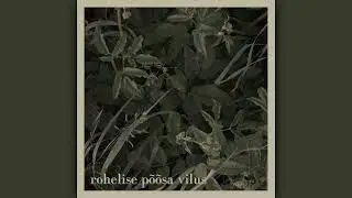 EHALE - Rohelise p&otilde;&otilde;sa vilus