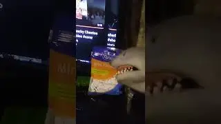 sharkie recall mint flossers #shorts #shortsvideo