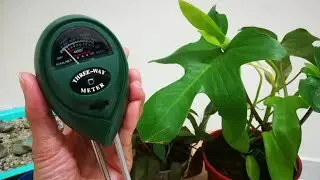 HOW TO USE A MOISTURE METER (FULL TUTORIAL VID) #gardening #gardeningtools #howto #how