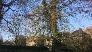 Waulsort