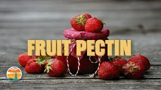 Unveiling the Secret of Fruit Pectin: Elevating Culinary Arts