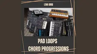 Analog Sequencer Pad Loop + percussion (115BPM/c Min) (Analog Pad Loop)