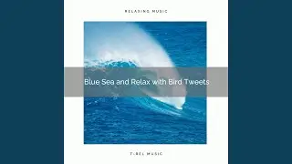 Calm Waves and Rest with Bird Tweets