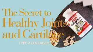 [Hydrolyzed Type 2 Collagen] The Secret to Healthy Joints and Cartilage