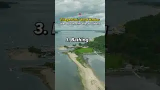 The Perks Of Living In Lloyd Harbor | Long Island