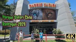 🇨🇱Parque Safari Chile, Rancagua. Chile 2026.