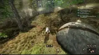 New World: Fire Mote Farm
