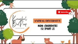 JKPSC ZOOLOGY 2025 ANIMAL DIVERSITY NON CHORDATES (5) [PART 2] LIFE CYCLE OF TAENIA