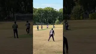 Cathall Vs Black Eagle 🦅