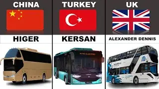 Bus From Different Countries