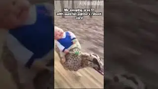 help the baby my brother #memes #funny #dog #comedy #cute #gamingtour