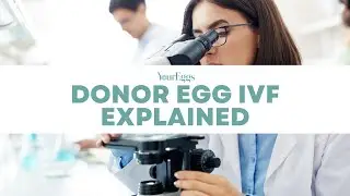 Donor Egg IVF Explained | YourEggs Egg Donation Agency in San Diego California