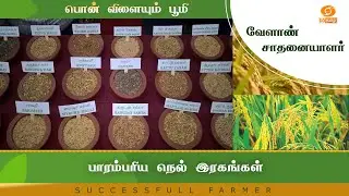 பாரம்பரிய நெல் இரகங்கள் | Successful Farmer #farming #farm
