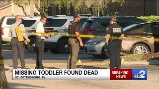 Missing 2-year-old&rsquo;s body found in alligator&rsquo;s mouth