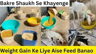 Goat Feed Details And Schedule At Bismillah Goat Farm | Bakro ki Special Diet |Weight Gaining Feed