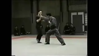 Someya, Nagase, Nakadai, Yabunaka & more Tokyo Budokan keiko 1997 Jojutsu & taijutsu