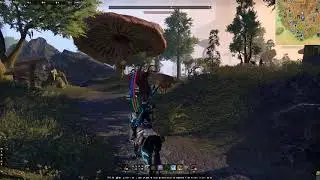 Sagacious Psijic Senche