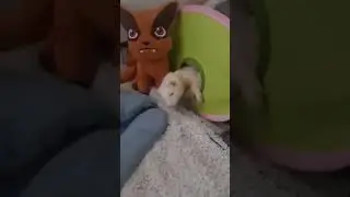 🥰