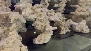 Extra Large Rockscape 320g