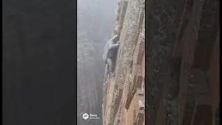 What Kind Of Creature Is That?