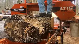 Super UGLY log, You Won't Believe These Amazing Slabs!