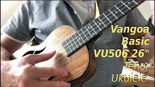 Sound Sample Vangoa Basic VU506 26