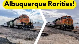 BNSF Leader on Amtrak, Locals, and Commuters! | Albuquerque Rarities!