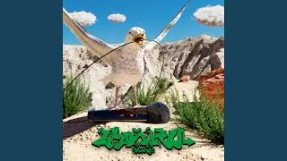 ЧАЙКИ СЕШН #1