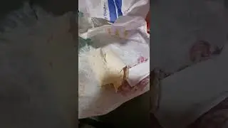 Eating McDonald's Hot Honey 🔥 🍯 Chicken Snack Wrap With McDonald's Mayonnaise 😋