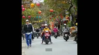 Strange But True: Top 5 Most Peculiar Laws from Cities Around the World  #Shorts