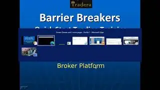 MT4 & LQDFX Broker Setup - Tradera Barrier Breakers Quick Start Trading Training.