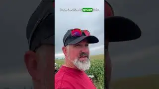 Cover crop destroyer