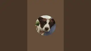 TRAVELLING ZEFF uk is live