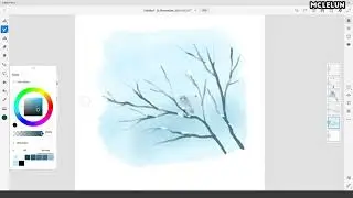 Adobe Fresco Water Colour Brush - Snow Bird