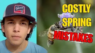 Early Spring Mistakes That Cost Beekeepers Colonies - WILDWOODS BEEKEEPING CHAT