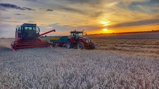 Czas na Pszenicę!🌾Romeo pije lokomotiv! Plon ...t? NIEMENÓWKA#59