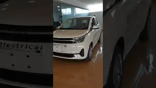 New energy vehicle adult electric car