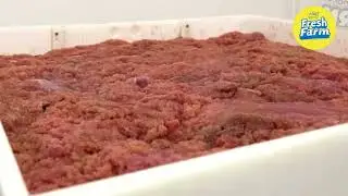 Extraordinary Caviar Making Discovering the Secrets of the World's Priciest Treat