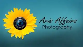 Aris Affairs Photography Helps Prescott Business People Avoid Headshot Disasters