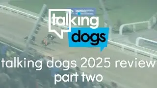 Обзор игры Talking Dogs 2025 &mdash; Часть вторая