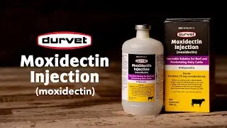 Moxidectin Injection - Powerful Parasite Control for Cattle