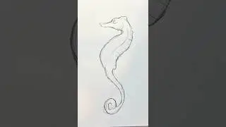 How to draw a seahorse #shortvideo #sketch #sealife #seahorse