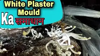 ऐसे किया है समाधान 