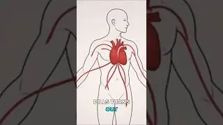 Researchers Accidentally Discovered This While Testing Heart Medicine #viral #science