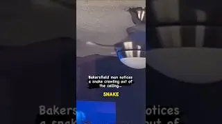 Атака летающей змеи 😭