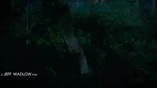 Maggie Q - Fantasy Island (2020) opening scene
