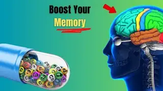 15 Essential Vitamins to Boost Memory and Brain Function