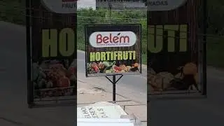 trabalho digno