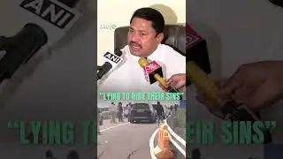 Cracks Developing on Atal Setu?